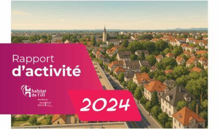 Rapport d’activité 2024